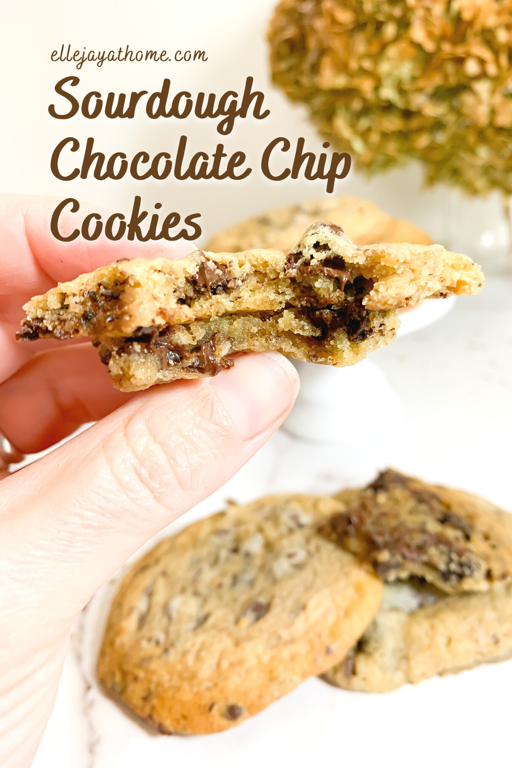 How to Make Chewy Sourdough Chocolate Chunk Cookies